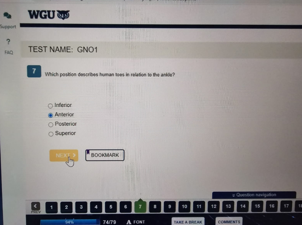 WGU D312 Anatomy & Physiology I with Lab OA1