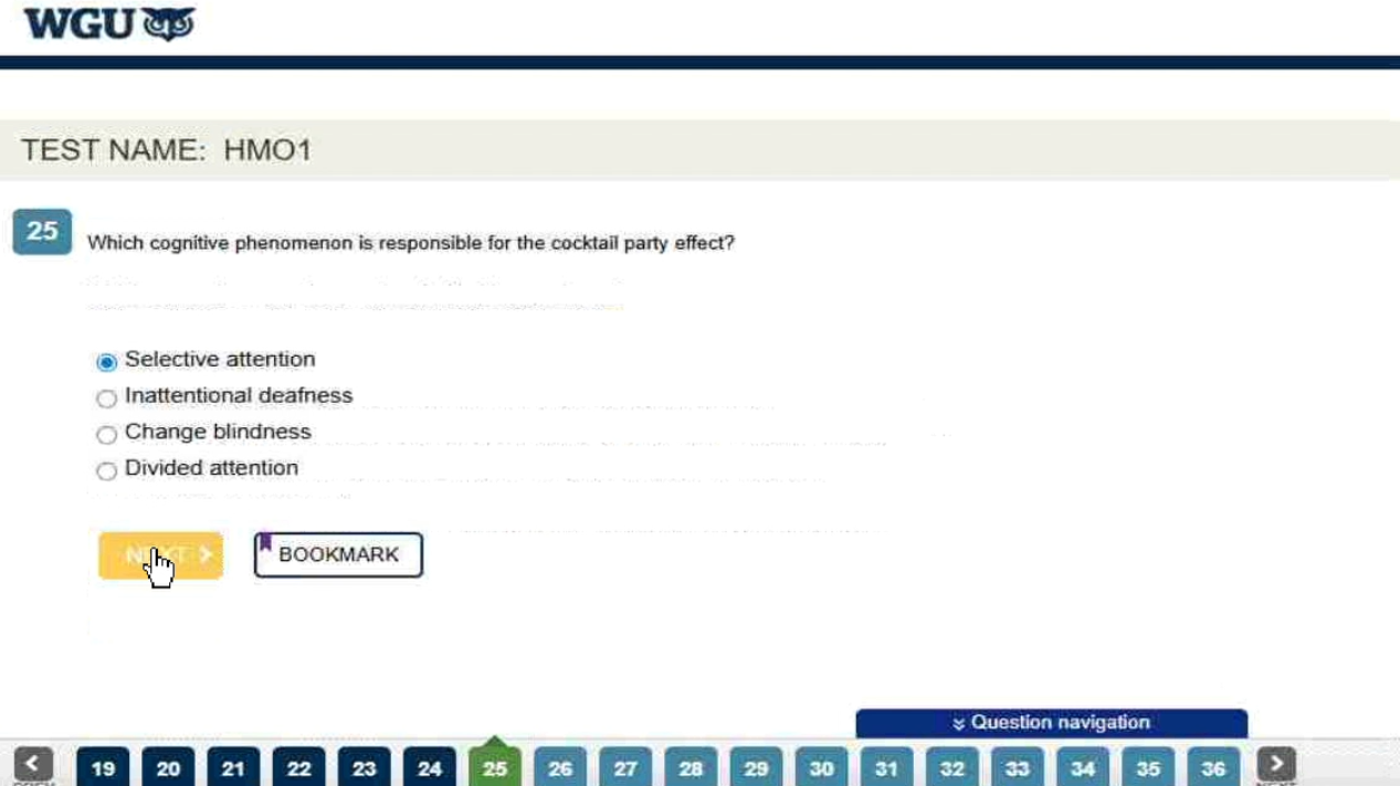 WGU D570 Cognitive Psychology OA2